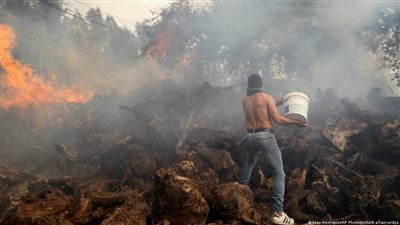 موجةُ الحرِّ الشديدة تودي بحياة 12 شخصًا وتعصف بشبكة الطاقة بولايات أمريكية