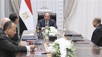 الرئيس السيسي يبحث تطوير قطاع الطيران وتوسيع الإسطول الجوي