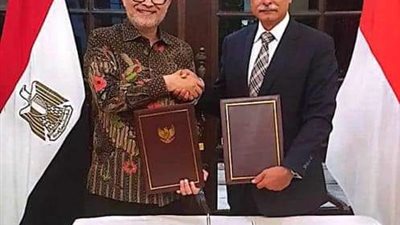 عقد الجولة السابعة للمشاورات السياسية بين مصر وإندونيسيا