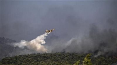  دول أفريقية تكافح الحرائق بسبب ارتفاع في درجات الحرارة 