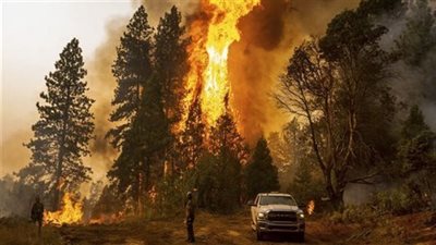  الطائرات العسكرية تواصل عمليات إطفاء الحرائق بمدينة طبرقة شمال غرب تونس