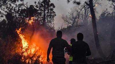 إصابة 10 أشخاص في حرائق غابات البرتغال 