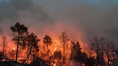 رغم تجاوز الحرارة 40 درجة مئوية في بعض الأحيان.. كيف ستتجاوز أولمبياد باريس موجة الحر؟