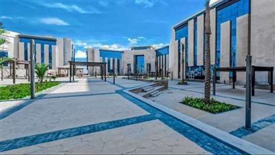 منهم جامعة العلمين.. أفضل 10 جامعات حكومية في مصر