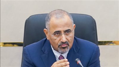 اليمن.. الزُبيدي يشدد على الدور المهم التي تضطلع به الهيئات المساعدة لهيئة رئاسة المجلس (صور)