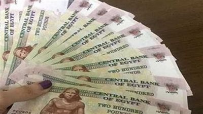 كيفية الاستعلام عن معاشات شهر أغسطس 2023 (رابط)