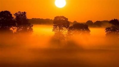 تأثيرات ضربة الشمس.. احذر المشى في الحرارة الشديدة 