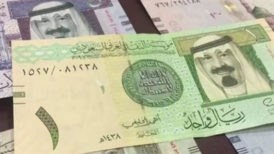 سعر الريال السعودي اليوم 29 يوليو 2023