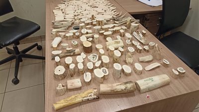 مصر.. توقيف مسافر في مطار القاهرة الدولي بحوزته 