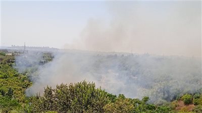 سوريا.. محاولات لإخماد الحرائق المستمرة منذ 5 أيام في ريف اللاذقية الشمالي