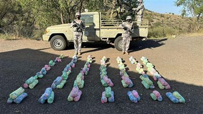 السعودية.. إحباط تهريب 97 كيلوجرامًا من نبات القات المخدر