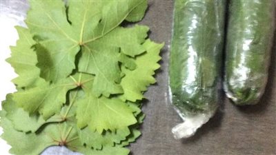 تخزين ورق العنب دون سلق في الفريزر.. وصفتين لحفظه من السنة للسنة