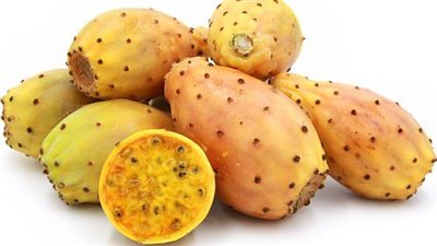 فوائد التين الشوكي وأضراره.. أيهما أفضل التين الأصفر أم الأحمر؟