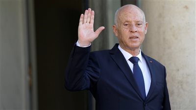 قيس سعيد يلتقي عضو مجلس الوزراء وزير الدولة الإماراتي