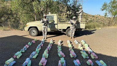 السعودية.. حرس الحدود بجازان يحبط تهريب 40 كيلوجرامًا من نبات القات المخدر