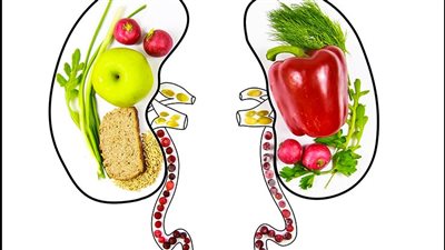 فاكهة تغسل الكلى.. 6 فواكه صيفية رائعة لتنشيط وظائف الكلى