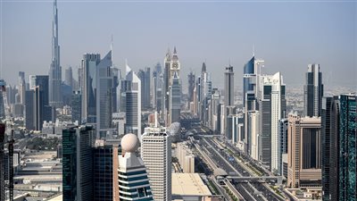 حكومة الإمارات تعتمد عددًا من القوانين الاتحادية المتعلقة بتنظيم المهن الصحية ومهنة الطب البيطري