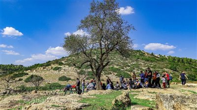 فلسطين.. سطو مسلح على بنك فلسطين في رام الله 