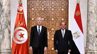 مصر تدعم إجراءات قيس سعيد في تونس