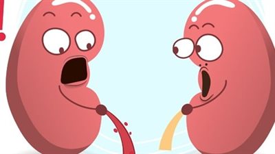 5 مشروبات تضر الكلى.. ومشروبات أخرى لطرد السموم من الجسم