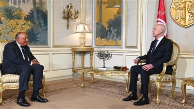 وزير الخارجية ينقل رسالة من الرئيس السيسي إلى الرئيس قيس سعيد