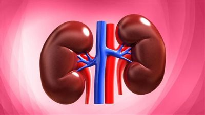 ماذا يجب على مرضى الكلى فى عيد الاضحى؟