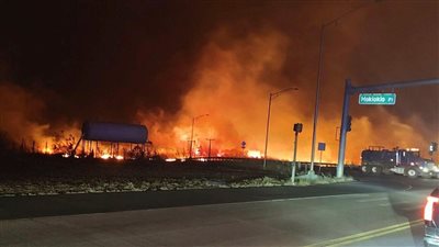 مصر تعرب عن تعازيها للولايات المتحدة الأمريكية إثر حرائق ولاية هاواي