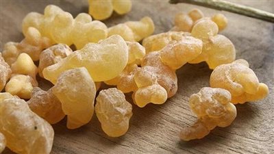 من الفم إلى الأمعاء.. ما هي فوائد 