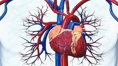 التهاب عضلة القلب.. الاعراض والاسباب والفرق بينها وبين النغزات