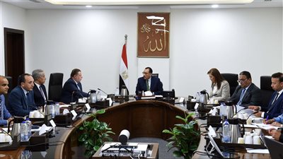 مصر.. رئيس الوزراء يتابع ما يتم منحه من تيسيرات ومحفزات للمصريين بالخارج في مختلف القطاعات