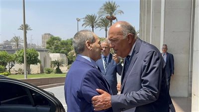 مصر تستضيف اجتماعا هاما حول سوريا.. ما القصة؟