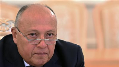  وزير الخارجية المصري يؤكدُ أهميةَ الحل السياسي للأزمة السورية