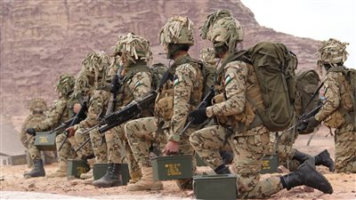 الأردن.. إحباط محاولة تسلل في المنطقة العسكرية الجنوبية