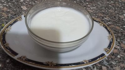 الطعام المناسب لمريض قرحة المعدة.. الزبادي والاسماك تسرع الشفاء