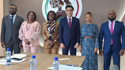 وصول قافلة طبية مصرية إلى غينيا الاستوائية