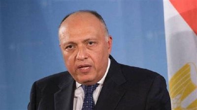 وزير الخارجية يشارك في لقاء مع كبرى الشركات الأمريكية المستثمرة فى مصر