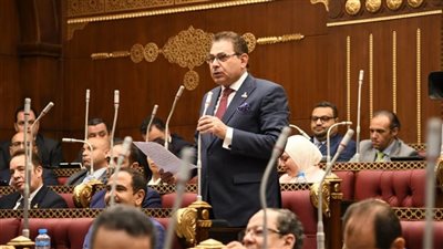 برلماني: مصر تتعرض لهجمة خارجية هدفها تعطيل مسيرة التحدي والتنمية