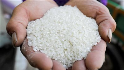 مصر.. حقيقة وجود عجز في الكميات المعروضة من الأرز بالأسواق والمنافذ التموينية 