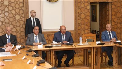 وزير الخارجية يلتقي السفراء المنقولين للعمل كرؤساء لبعثات مصر في الخارج 