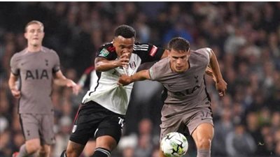 بعد لقاء على ملعب كرافن كوتيج... ملخص مباراة فولهام وتوتنهام في بطولة كأس الرابطة الإنجليزية 