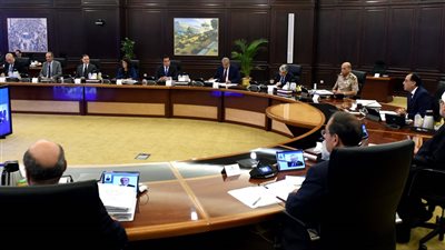 مصر.. الموافقة على مشروع قرار بإنشاء المجلس الوطني للهيدروجين الأخضر ومشتقاته