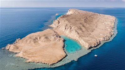 أبرز المعلومات الأساسية بشأن مشروع 