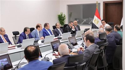 مصر.. وزير الصحة يوجه بالعمل على إطلاق حملة للصحة الإنجابية بالتزامن مع مؤتمر السكان