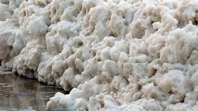 بعدما شهد شاطئ محافظة بورسعيد ظهوره.. ما هو زبد البحر؟