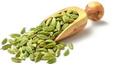 5 من فوائد الهيل للنساء.. إليكِ تأثيره على الدورة الشهرية والرحم