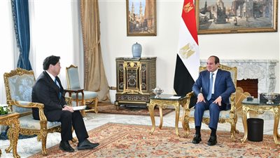 الرئيس السيسي خلال لقاءه وزير خارجية اليابان: حريصون على مد جسور التعاون مع طوكيو