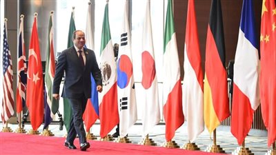 برلماني مصري يشيد بكلمة الرئيس عبد الفتاح السيسي بقمة العشرين بالهند