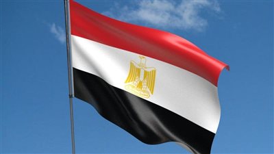 مصر.. حقيقة قطع الأشجار النادرة والمعمرة في حديقة الأسماك بالزمالك