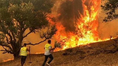 تتسع مساحة النيران.. ماذا يحدث في الجزائر؟