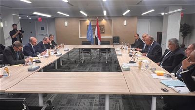 وزير الخارجية المصري يلتقي قيادات من أيرلندا